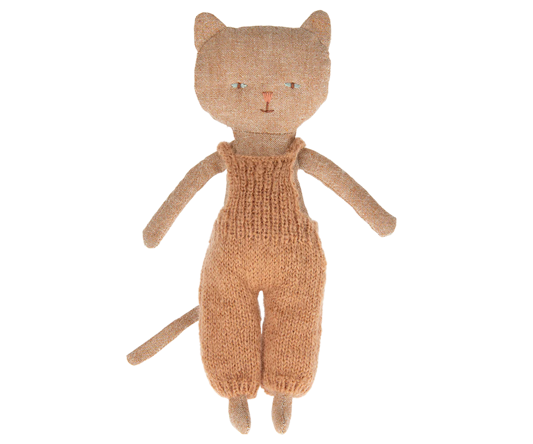 Chatons Kitten, Dark Nature, Ginger