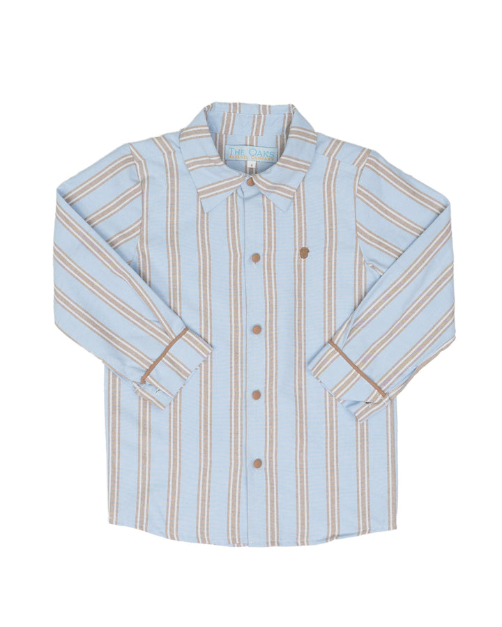 William Blue and Brown Striped Oxford Shirt