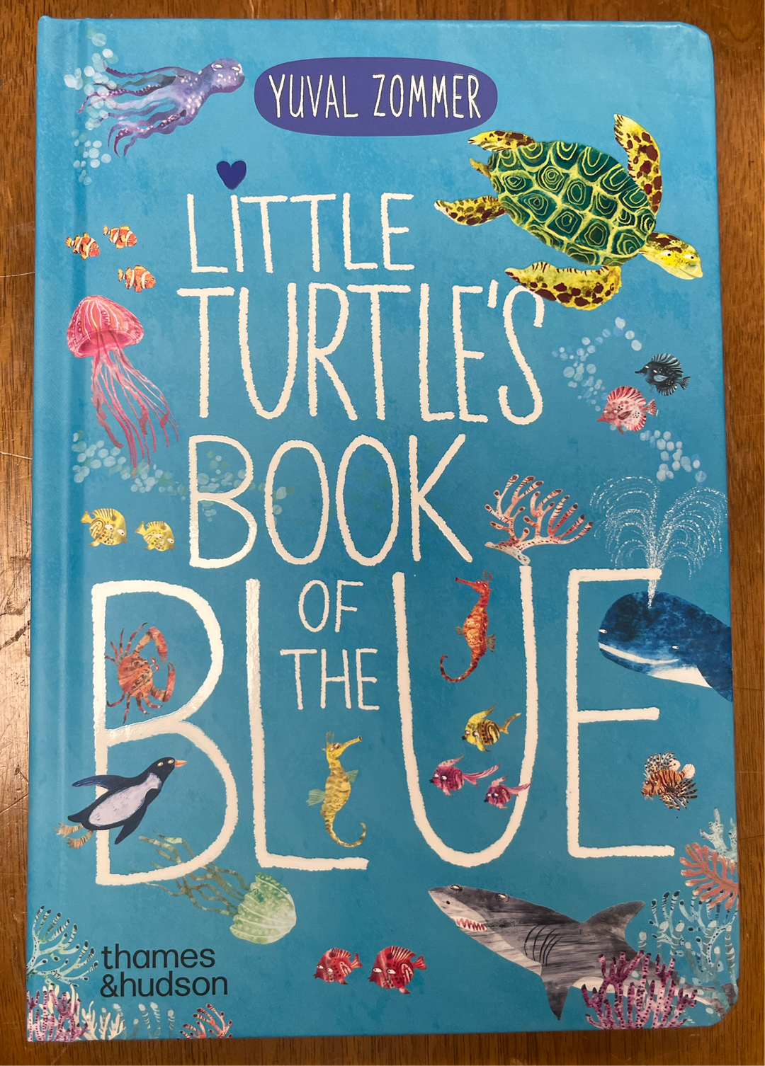 Little Turtle's Book of the Blue
