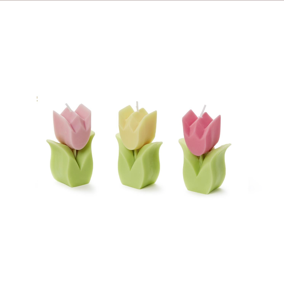 Tulip Garden Hand-Crafted Candle