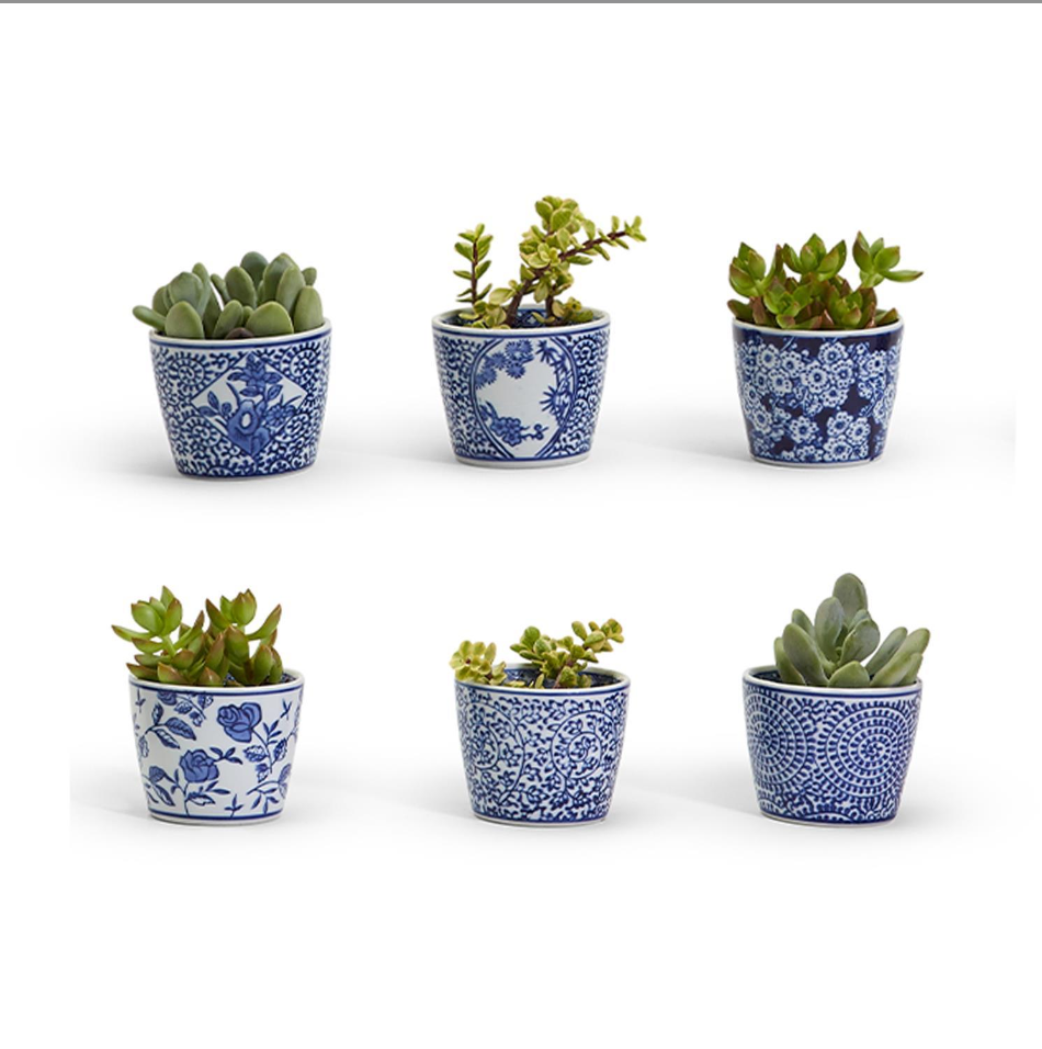 Canton Collection Cachepot Designs: Sold Individually