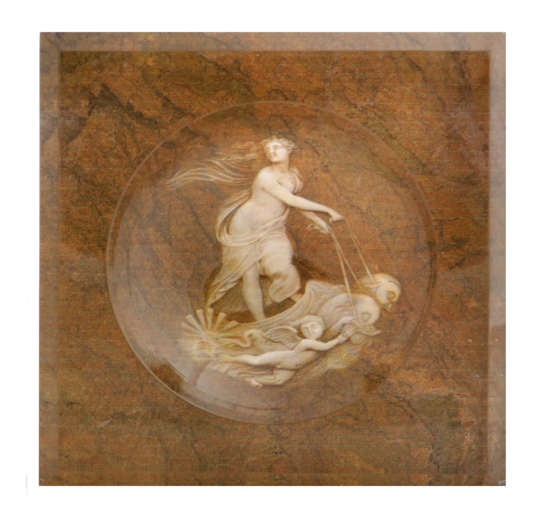Apricot Venus Soap Dish