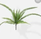 Mossy Faux Fern