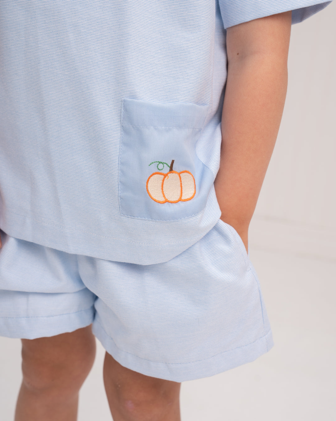 Benjamin Blue Pumpkin Applique Short Set