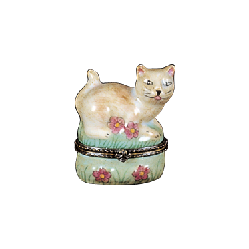 WHITE CAT