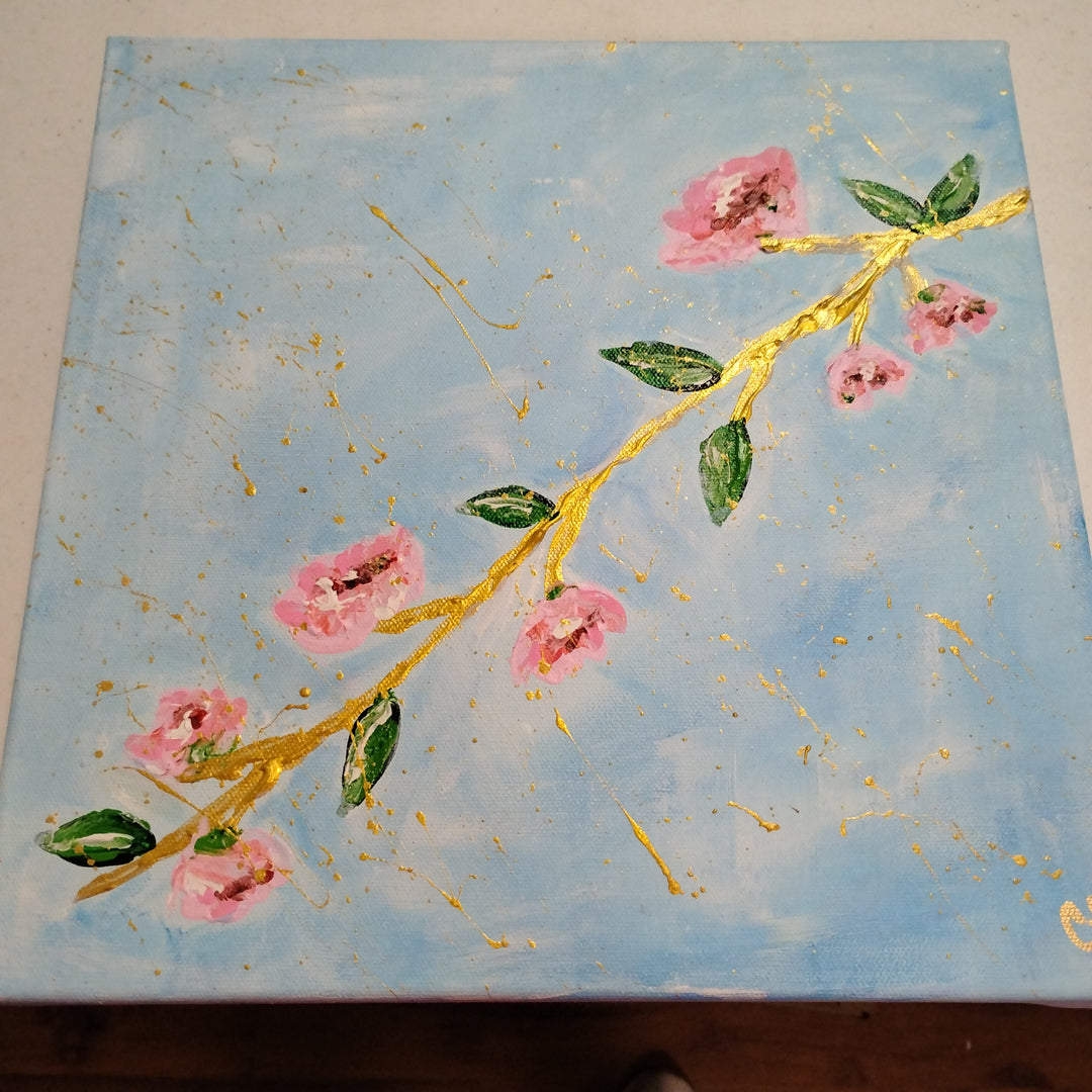 12x12 Aurora