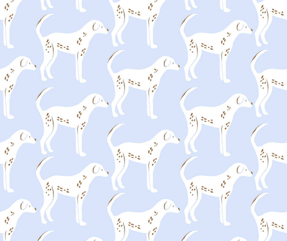 Blue Dog Days Collection