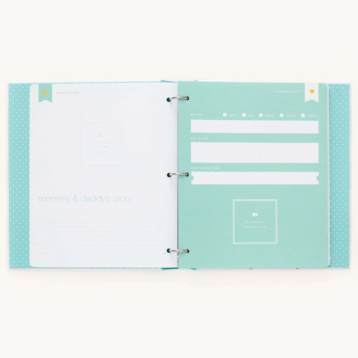 Baby Book - Mint