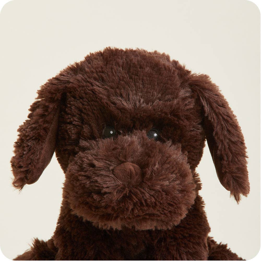 Warmies - Lavender Scented Plush - Gifts - Summer Market - Chocolate Labrador Warmies