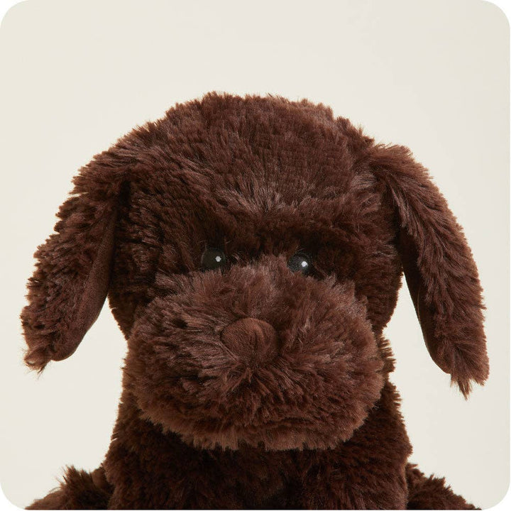 Warmies - Lavender Scented Plush - Gifts - Summer Market - Chocolate Labrador Warmies