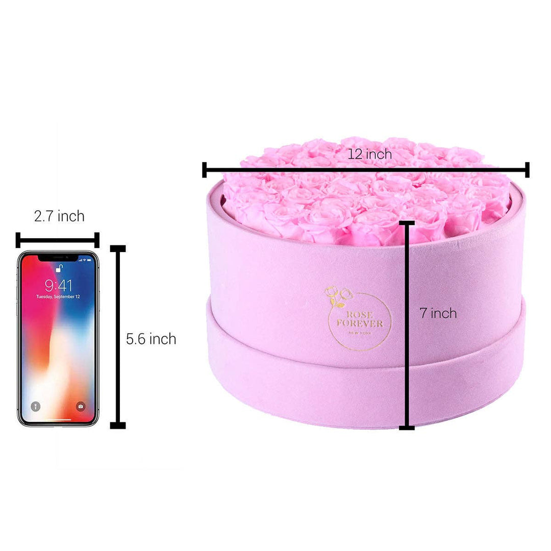 Rose Forever - Intense Pink Suede Light Pink 36