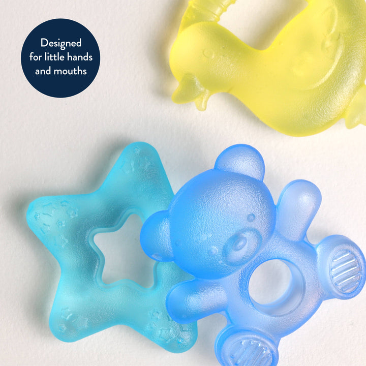 Itzy Ritzy - *NEW* Bear Cutie Coolers™