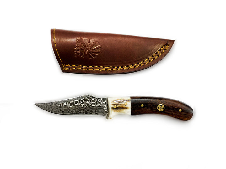 Titan International - Damascus Steel Skinner Knife, Stag & Walnut Grip by Titan Td