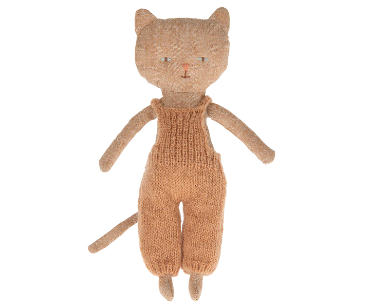 Chatons Kitten, Dark Nature, Ginger
