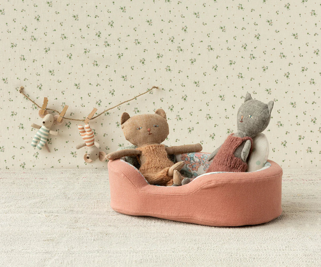 Chatons Kitten, Dark Nature, Ginger