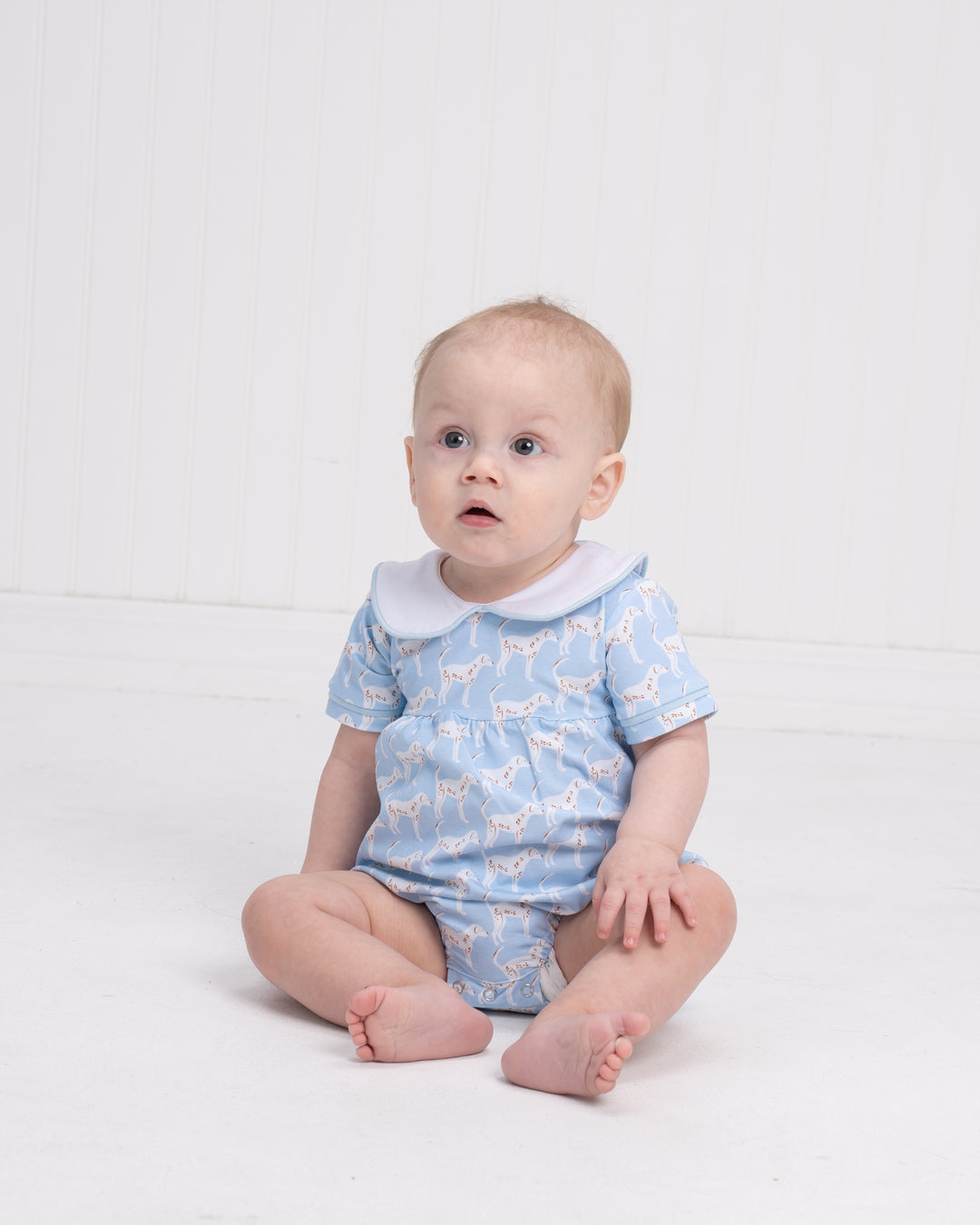 Hank Blue Dog Days Bubble