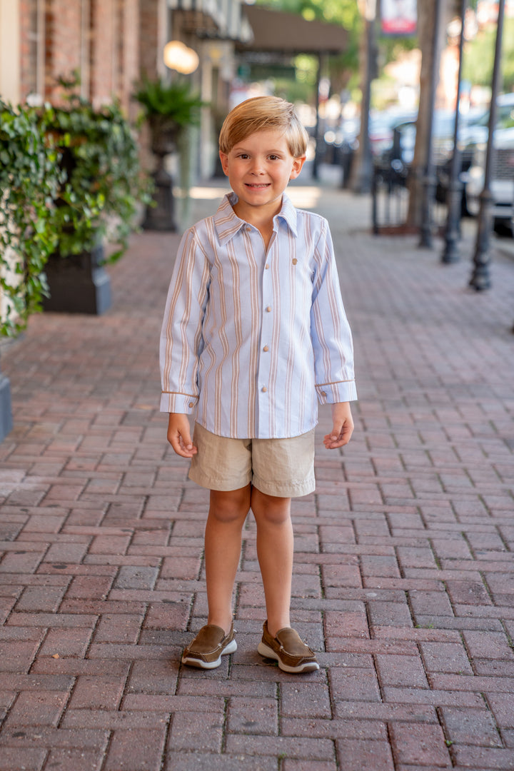 William Blue and Brown Striped Oxford Shirt