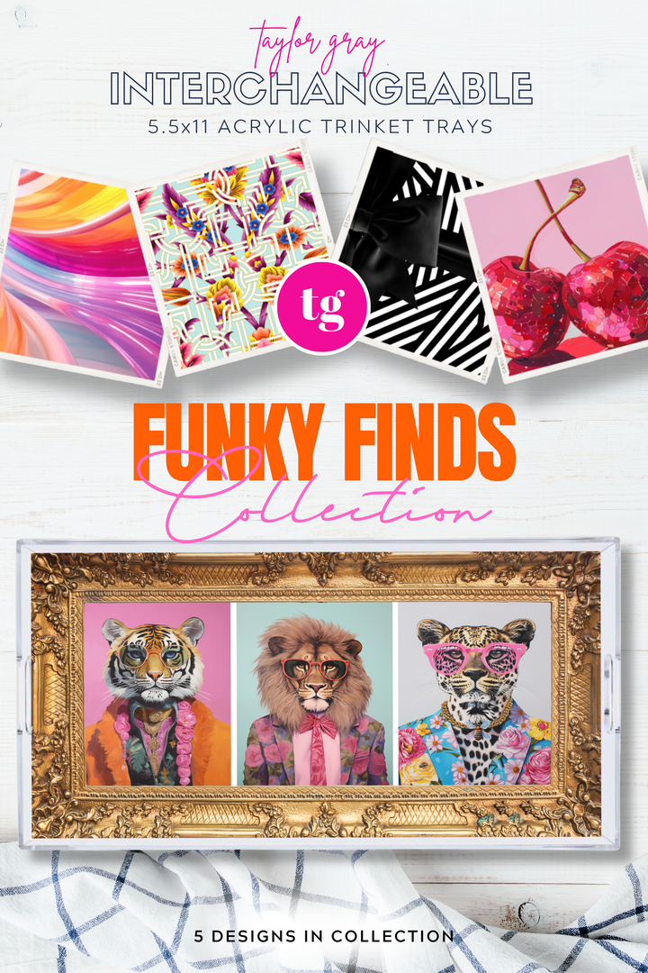 TAYLOR GRAY - 5.5x11 FUNKY FINDS trinket tray insert set of 5