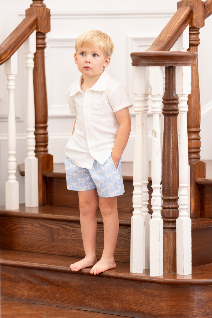 Blue Dog Days Pima Boy Shorts