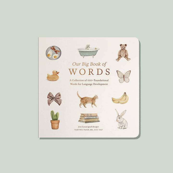 Paige Tate & Co. - Our Big Book of First Words (Easter Basket Stuffer)