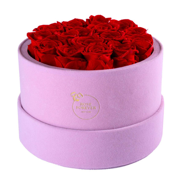 Rose Forever - Passion Pink Suede Red 16