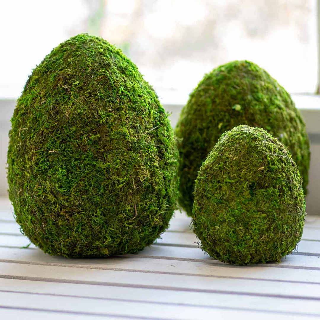 The Royal Standard - Moss Egg Decor   Green   6.5"
