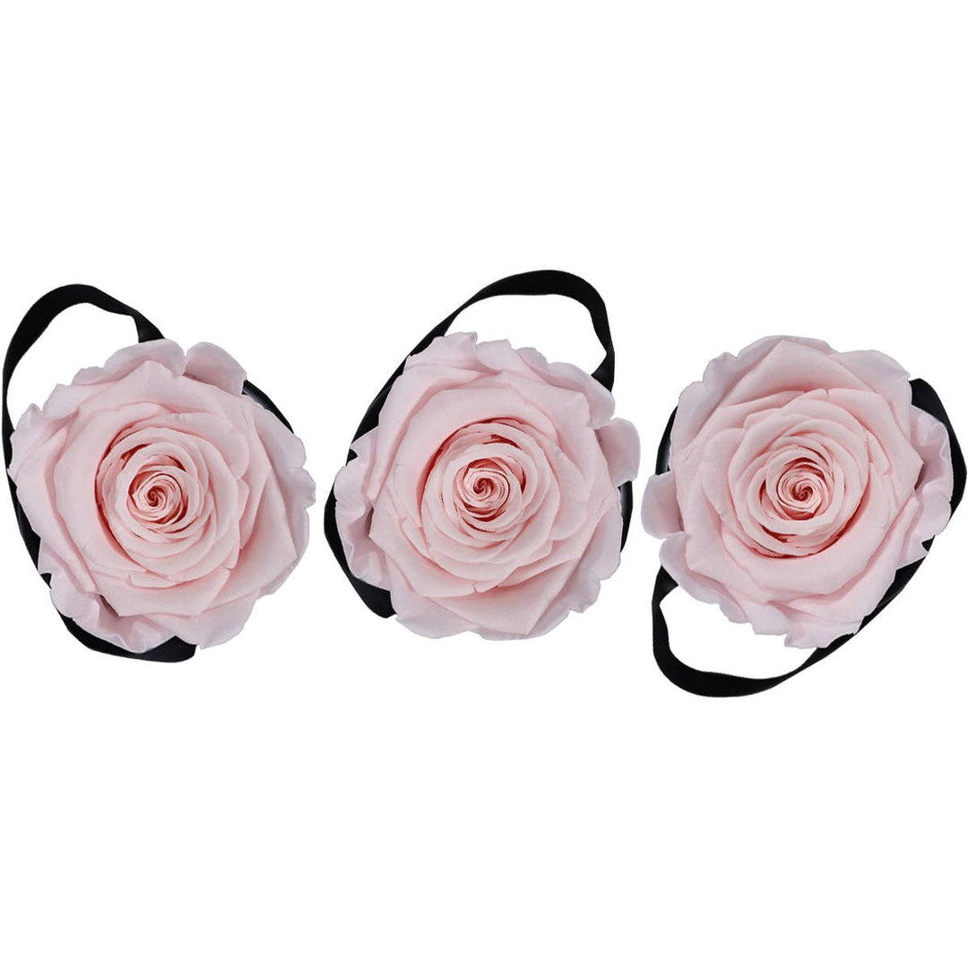 Rose Forever - Pink roses mini