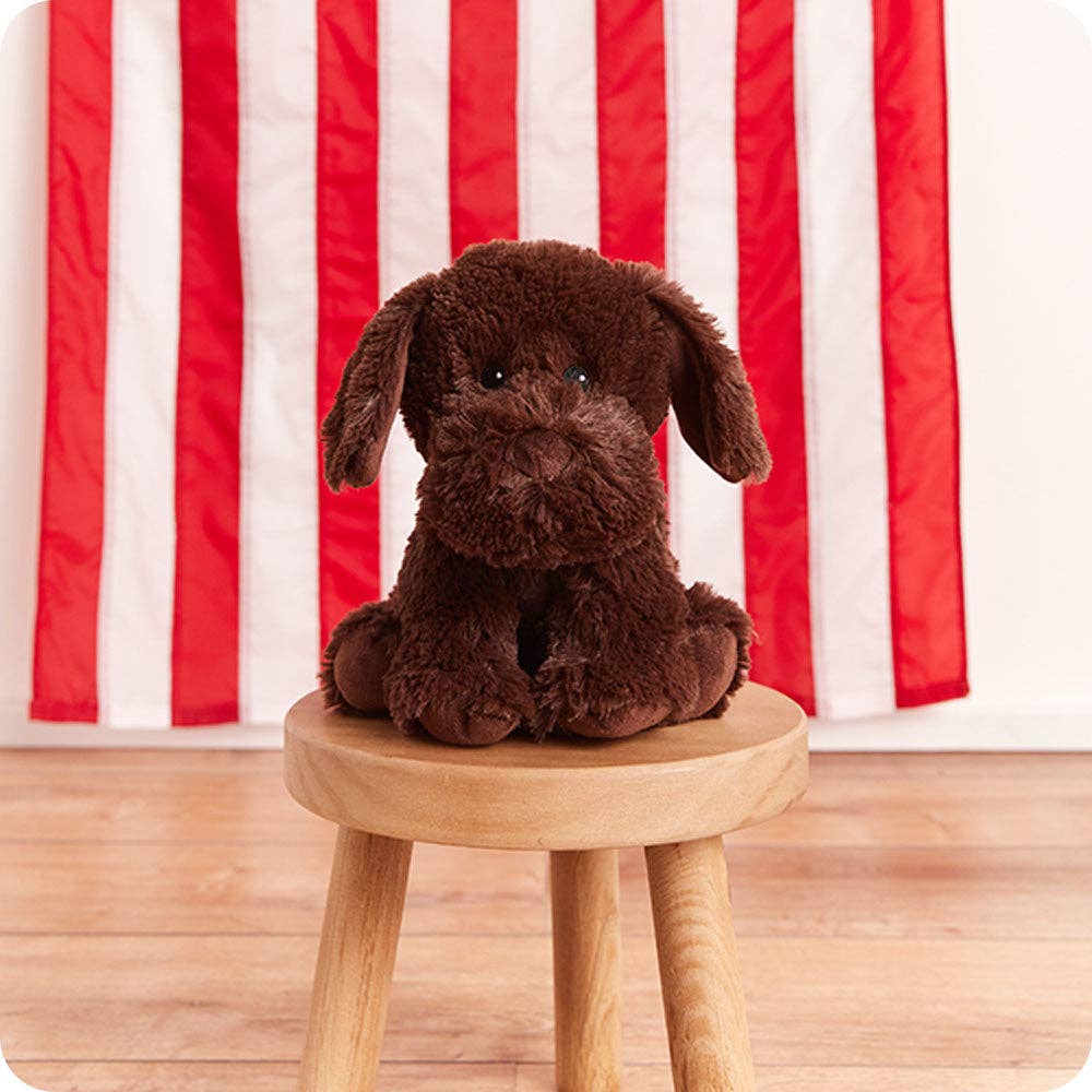 Warmies - Lavender Scented Plush - Gifts - Summer Market - Chocolate Labrador Warmies