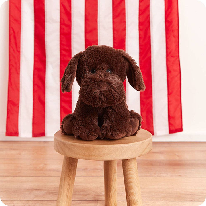 Warmies - Lavender Scented Plush - Gifts - Summer Market - Chocolate Labrador Warmies