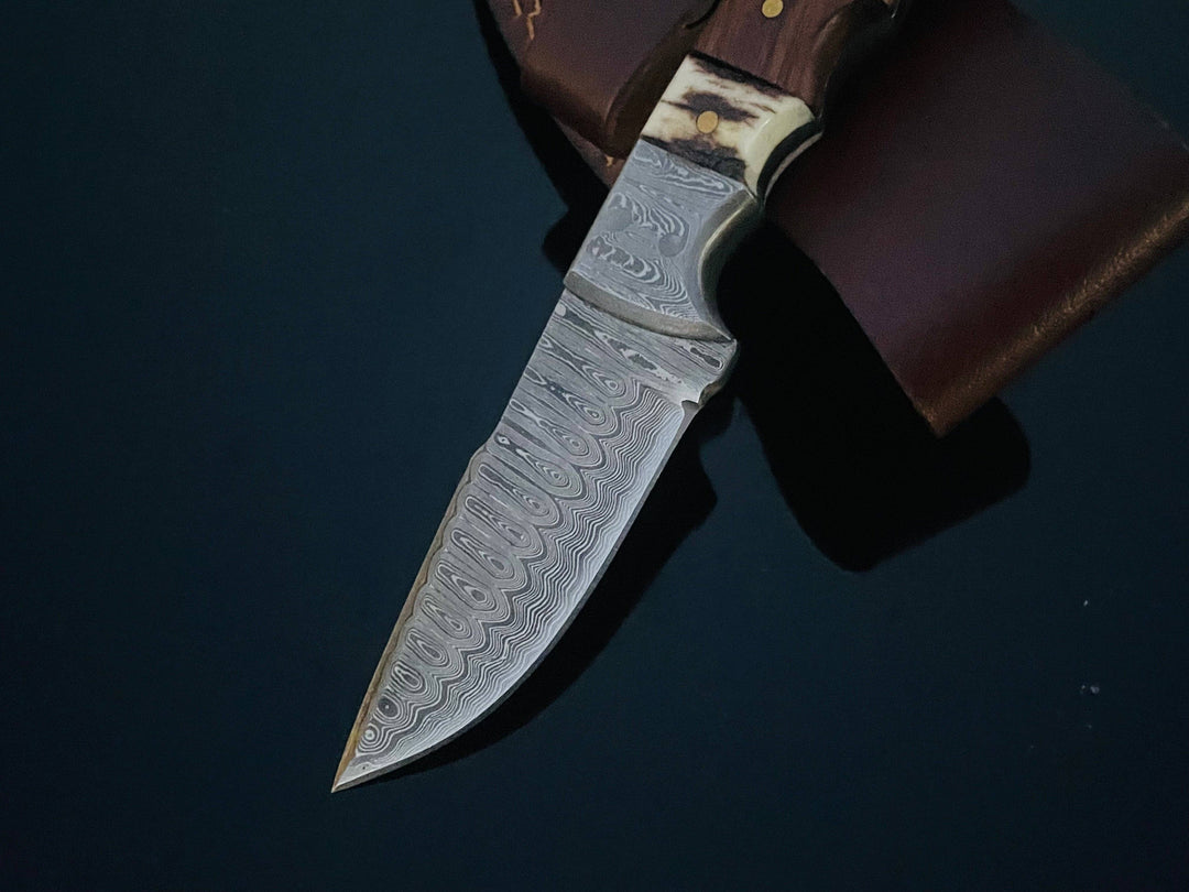 Titan International - DAMASCUS STEEL FIXED BLADE KNIFE WITH WALNUT & STAG HORN HAN