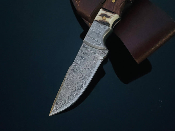 Titan International - DAMASCUS STEEL FIXED BLADE KNIFE WITH WALNUT & STAG HORN HAN