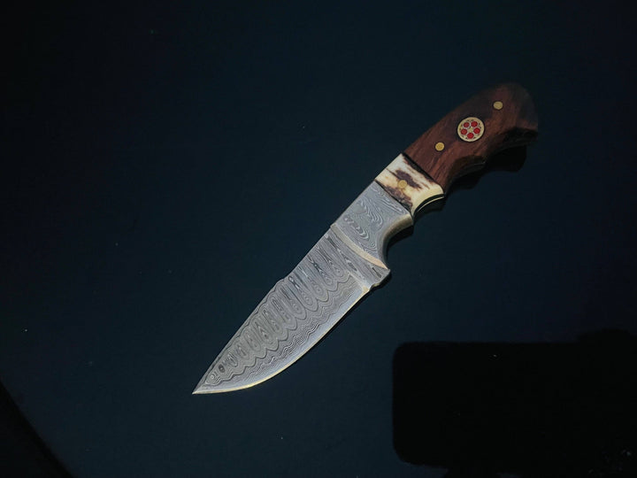 Titan International - DAMASCUS STEEL FIXED BLADE KNIFE WITH WALNUT & STAG HORN HAN