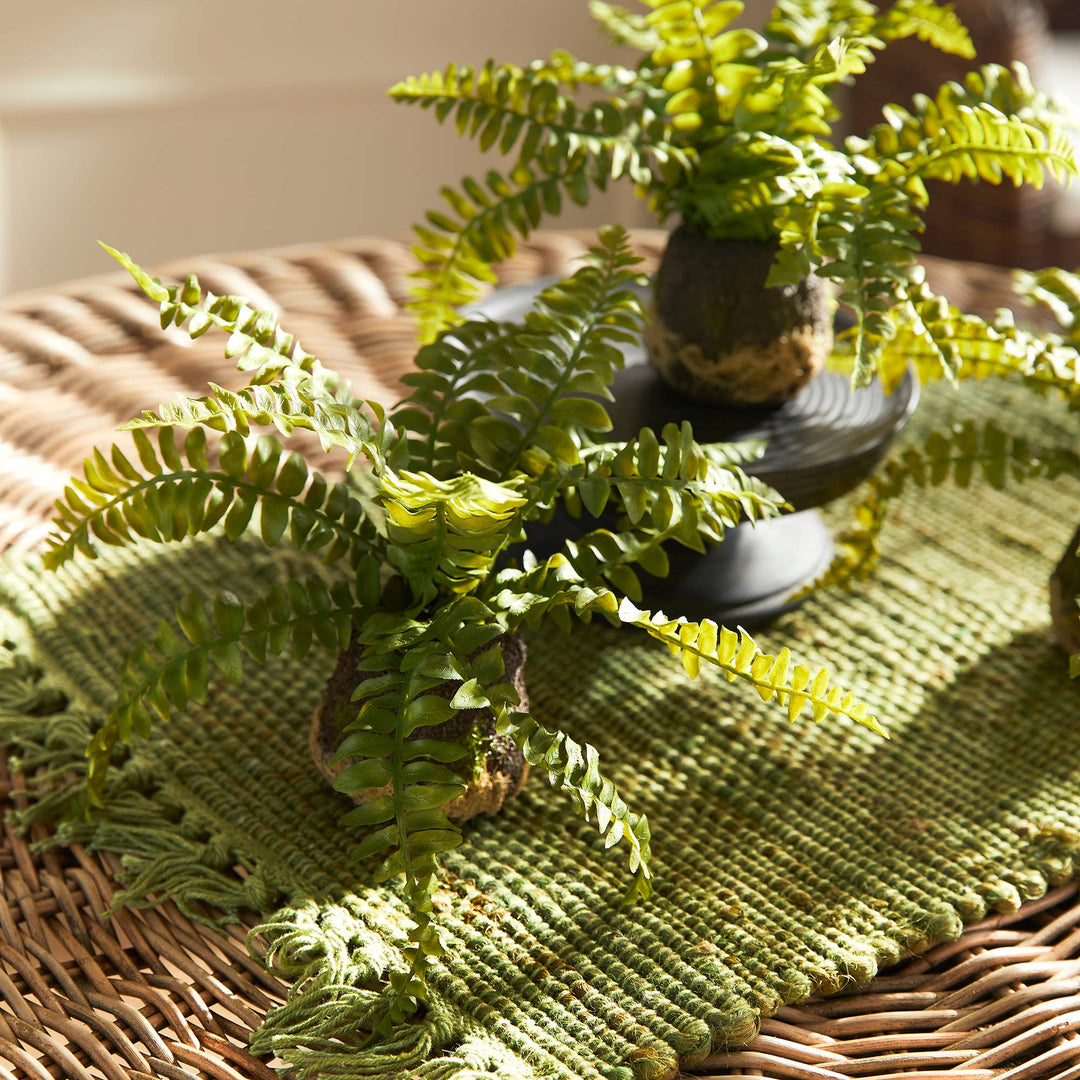 Napa Home & Garden - Boston Fern Drop-In single