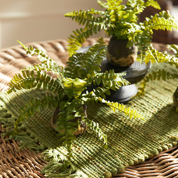 Napa Home & Garden - Boston Fern Drop-In single
