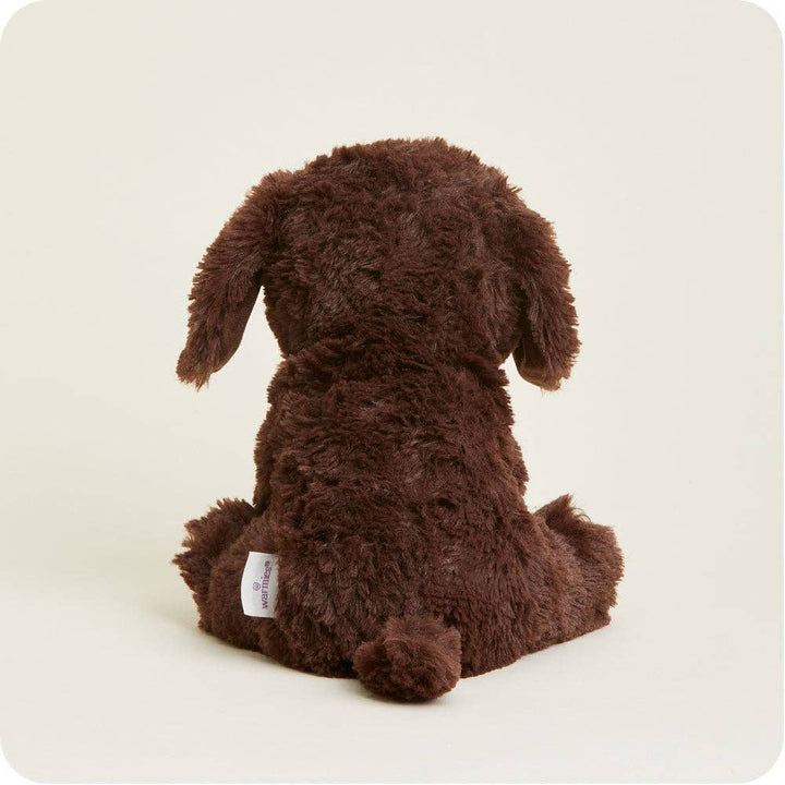 Warmies - Lavender Scented Plush - Gifts - Summer Market - Chocolate Labrador Warmies