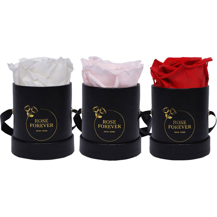 Rose Forever - Red roses mini