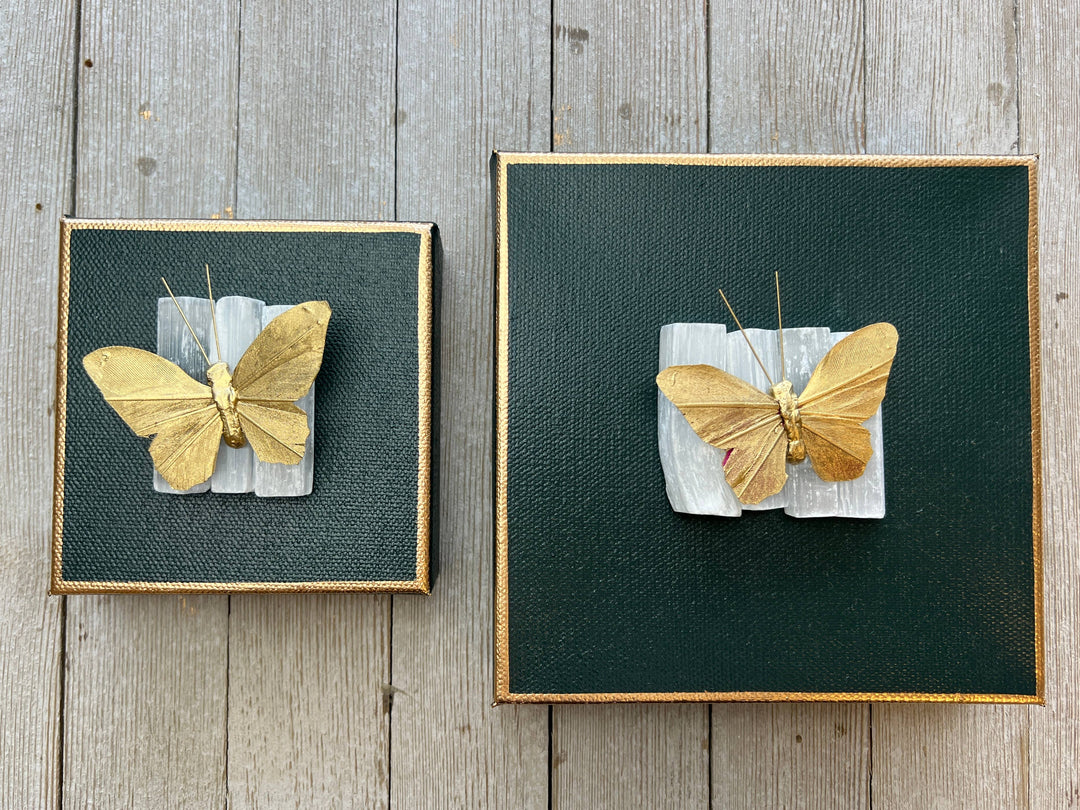 Michelle Allen Designs - Butterfly Crystal Art: 4x4 / White