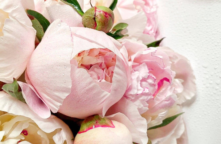 TAYLOR GRAY - 11x17 MALLORY DOUGHERTY insert set of 10