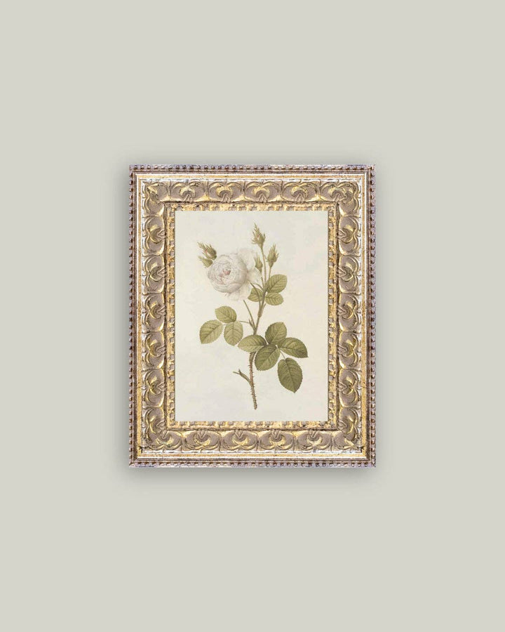 Petal Lane Home - Misty Rose Framed Antique Art: 8x10