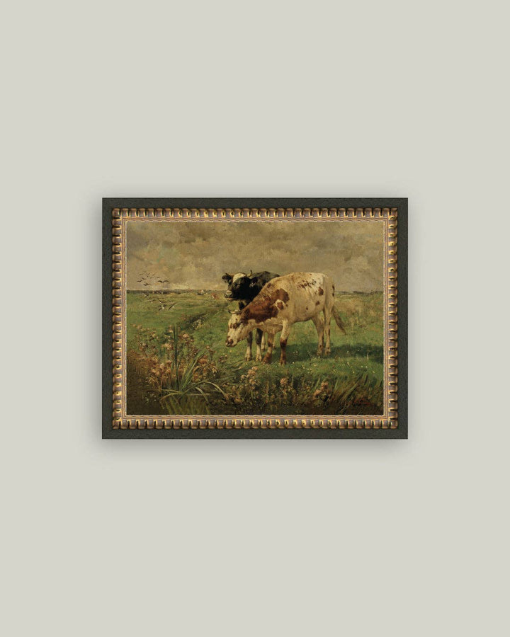 Petal Lane Home - Black and Brown Cows Framed Antique Art: 10x8