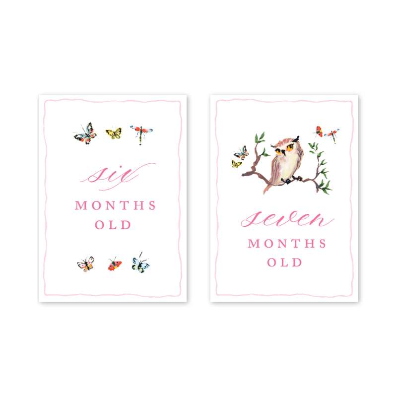 Dogwood Hill - Woodland Pink Milestone Cards: Milestone Cards - Set of 15
