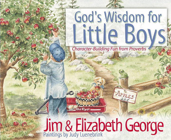 Harvest House Publishers Gift & Specialty Books - God's Wisdom for Little Boys