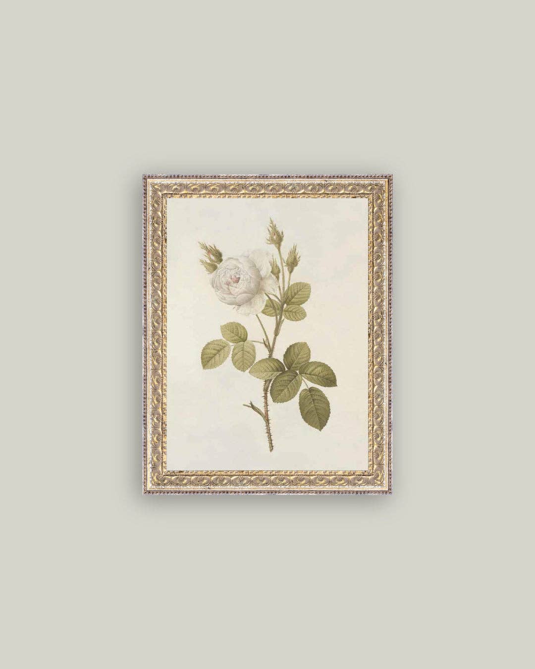Petal Lane Home - Misty Rose Framed Antique Art: 5x7