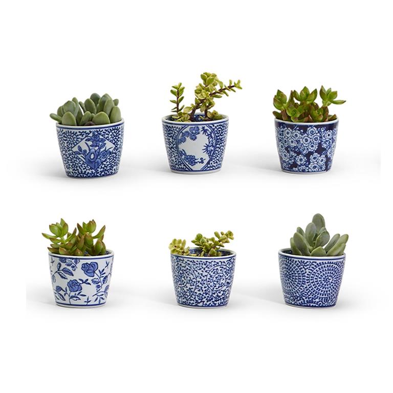 Canton Collection Cachepot in 6 Designs