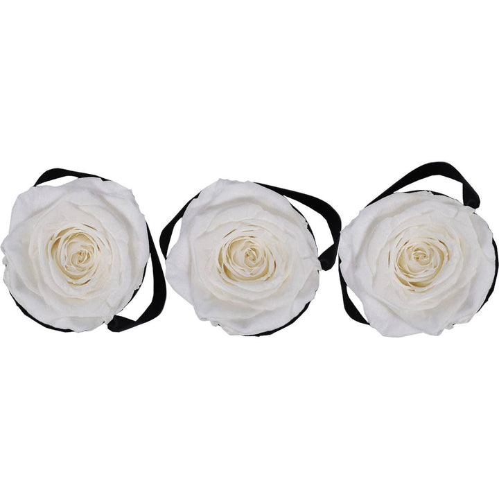 Rose Forever - White roses mini