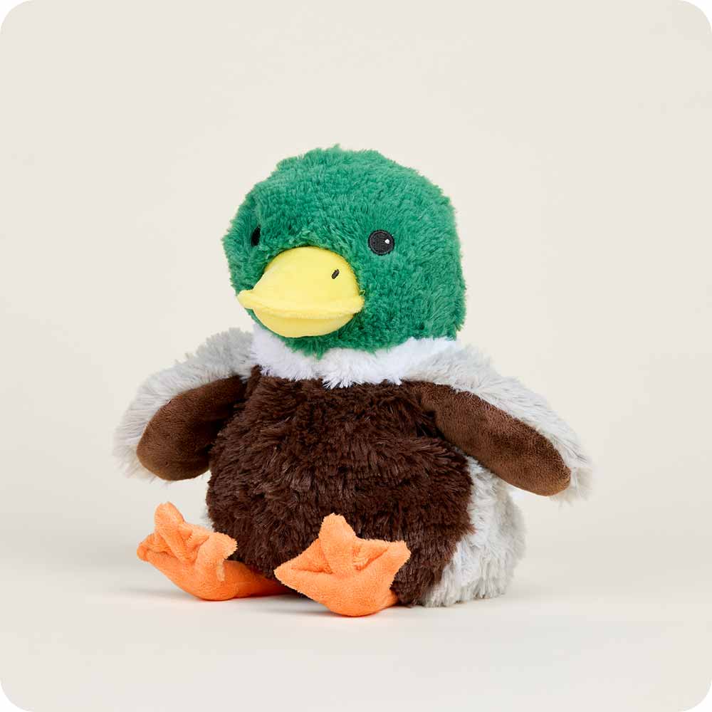 Warmies - Lavender Scented Plush - Gifts - Summer Market - Mallard Warmies Heatable Plushie Lavender Scented Weighted