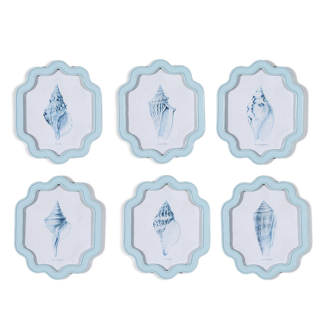 Shell Wall Art (price is for 1 piece)