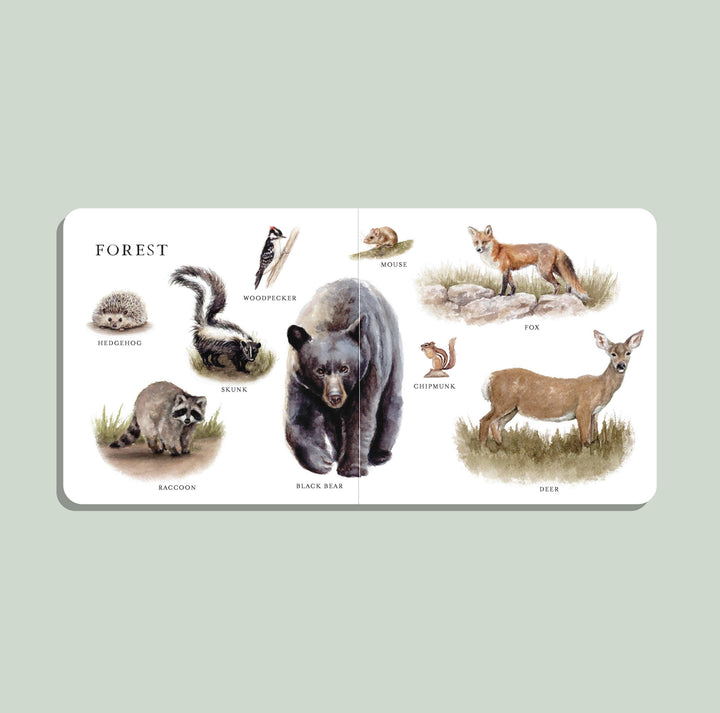 Paige Tate & Co. - Our Big Book of Animals (Board Book)