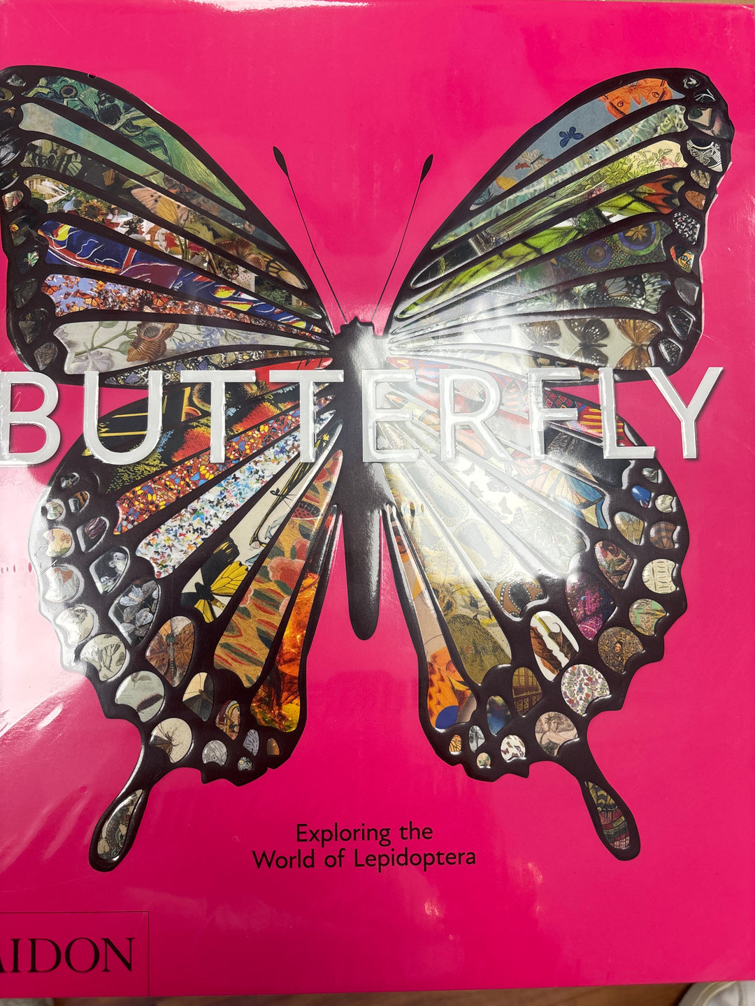 Butterfly: Exploring the World of Lepidoptera