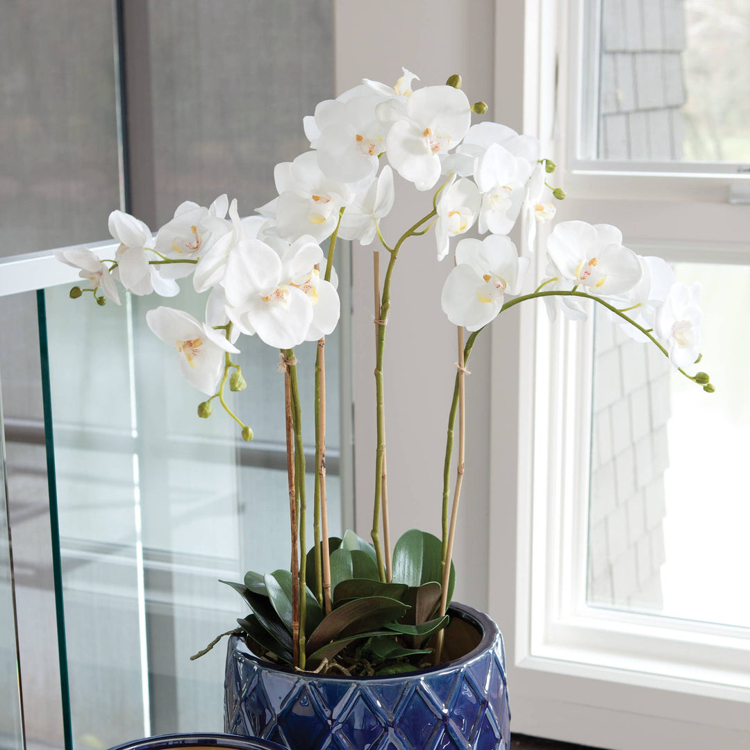 Napa Home & Garden - Phalaenopsis Orchid Bowl Drop-In 25"